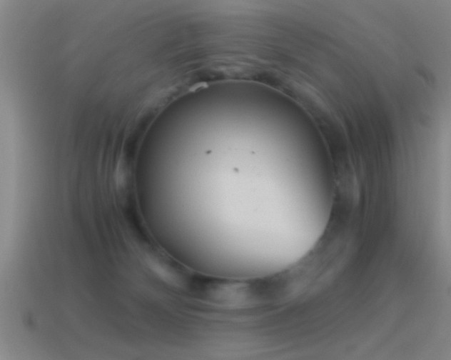 X0000114390132200910161302