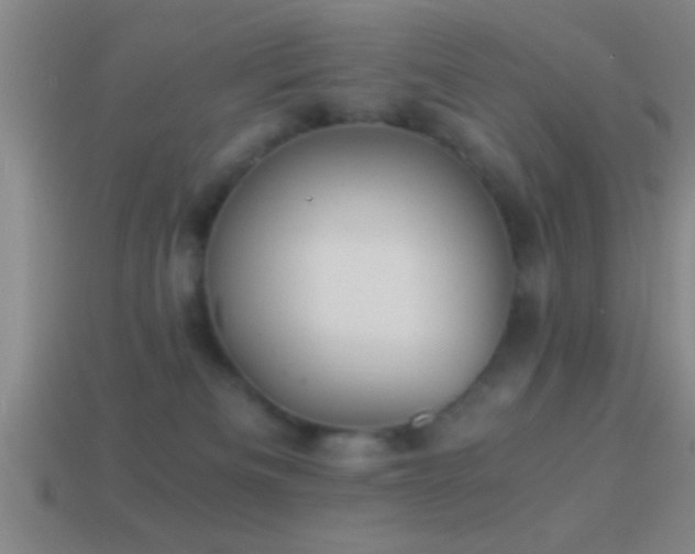 X0000114390133200910161302