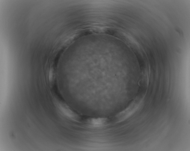 X0000114390134200910161302
