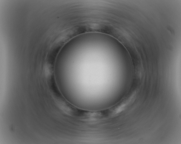 X0000114390135200910161302