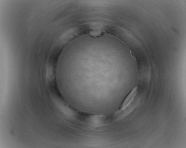 X0000114390136200910161302