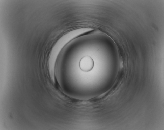 X0000114390137200910161302