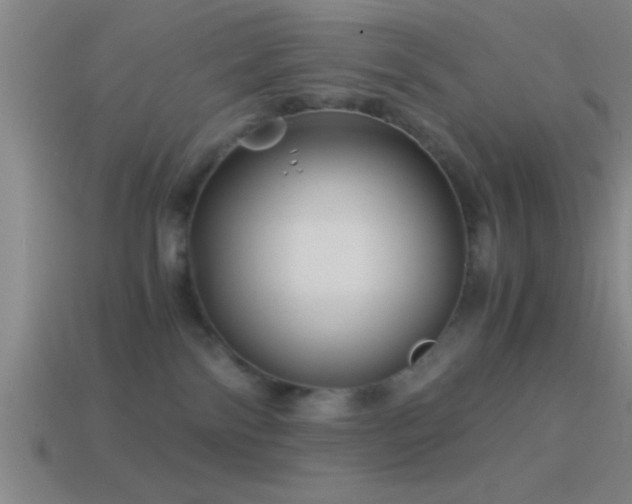 X0000114390138200910161302