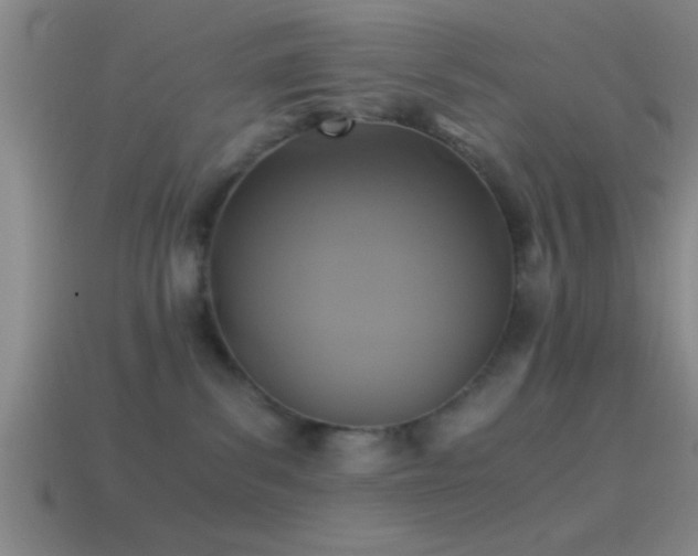 X0000114390139200910161302