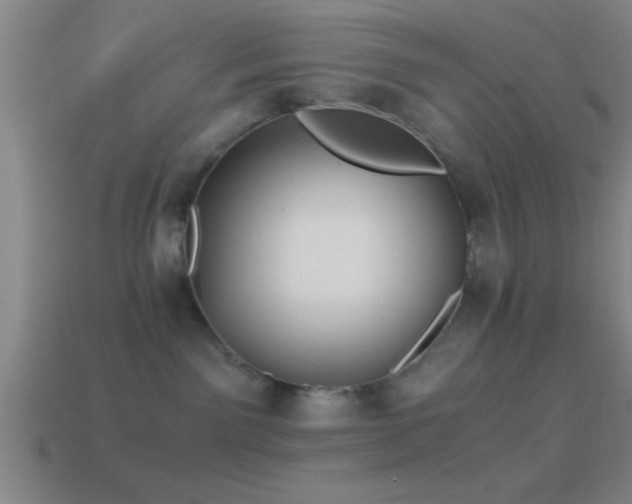 X0000114390141200910161302