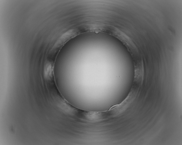 X0000114390142200910161302