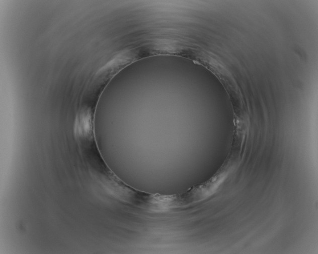 X0000114390143200910161302