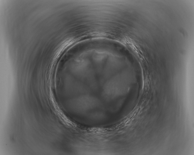 X0000114390145200910161301