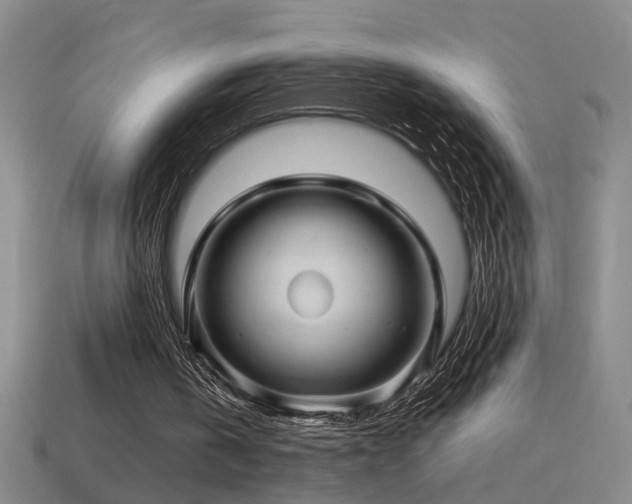 X0000114390146200910161301