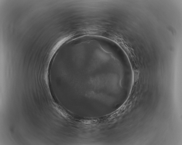 X0000114390147200910161301