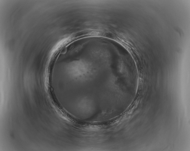 X0000114390149200910161301
