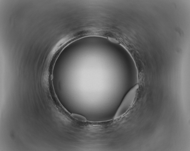 X0000114390150200910161301