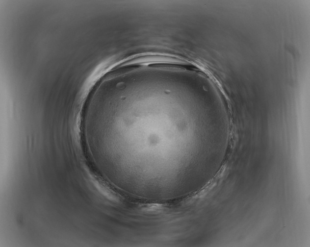 X0000114390151200910161301