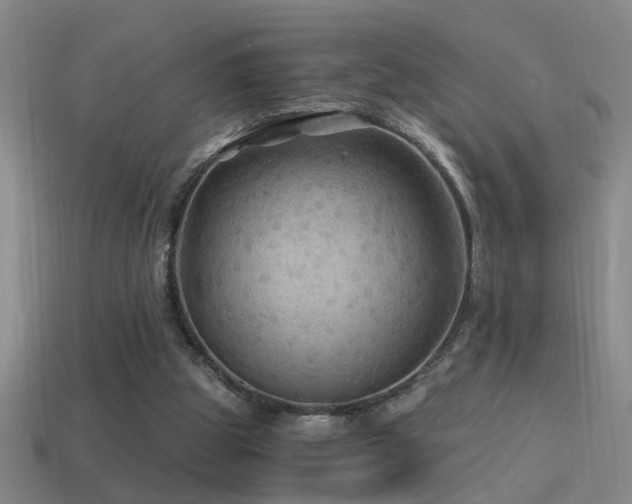 X0000114390153200910161301