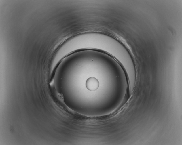 X0000114390154200910161301