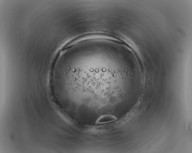X0000114390155200910161301