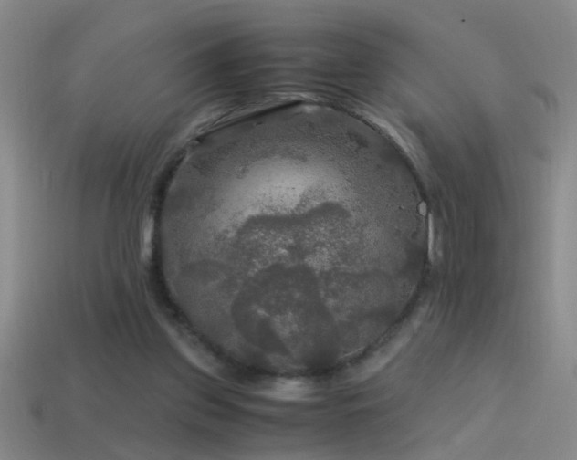 X0000114390157200910161301