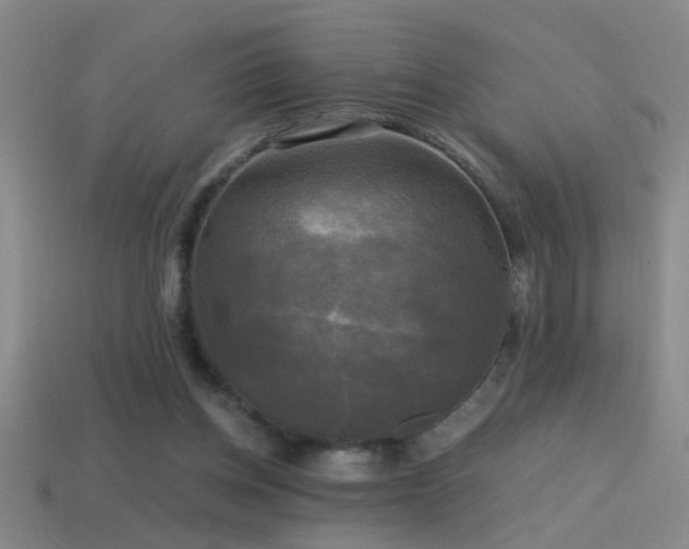 X0000114390158200910161301