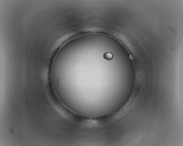 X0000114390159200910161301
