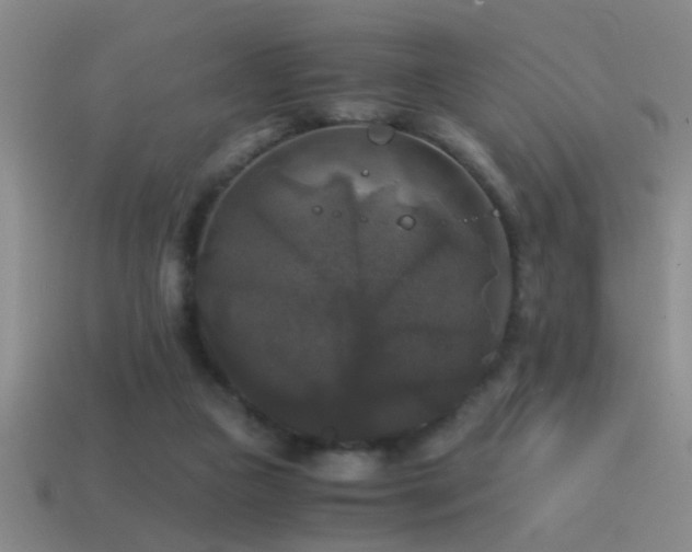 X0000114390161200910161301