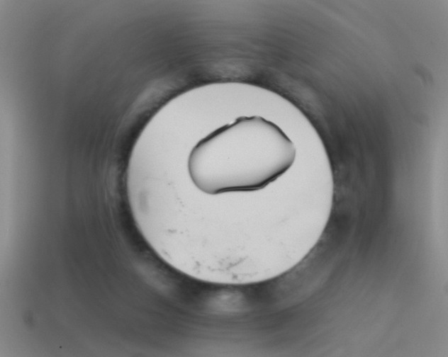 X0000114390162200910161301