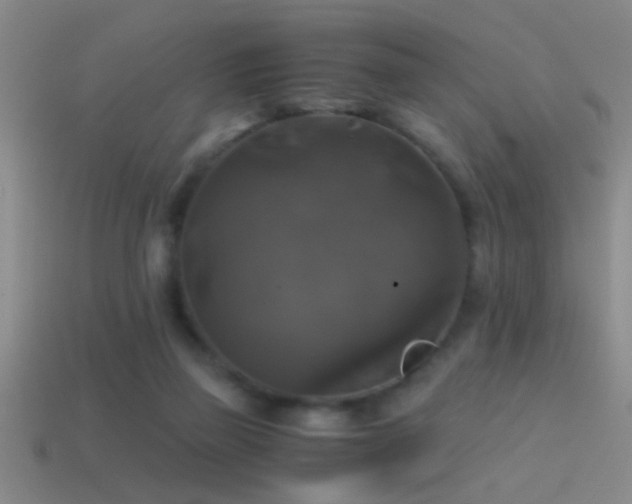X0000114390165200910161301