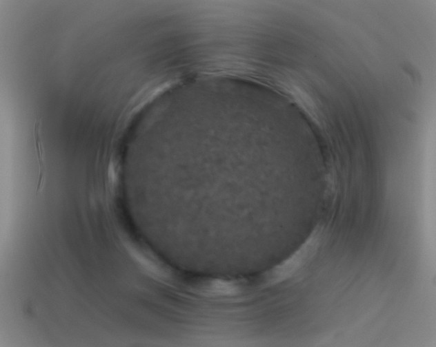 X0000114390166200910161301