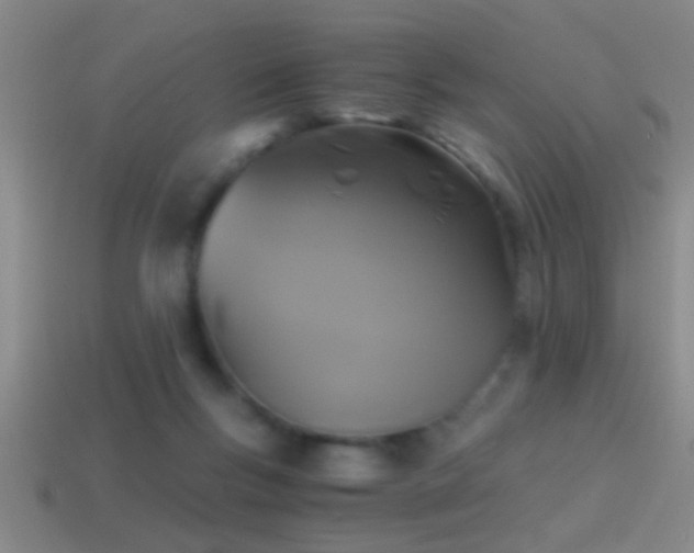 X0000114390167200910161301