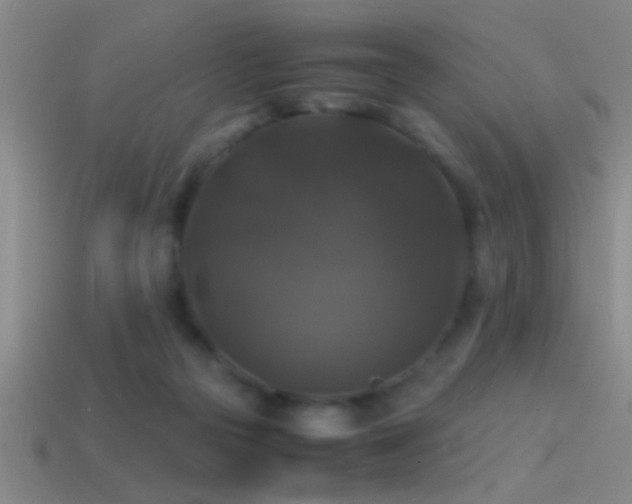 X0000114390169200910161301