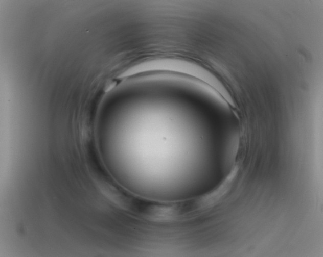 X0000114390170200910161301