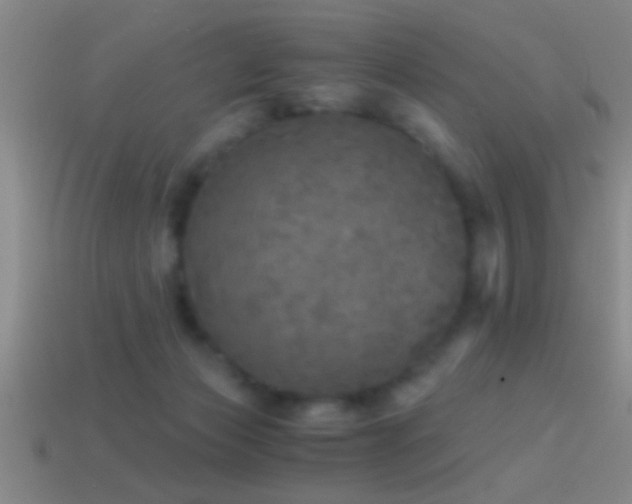 X0000114390173200910161301
