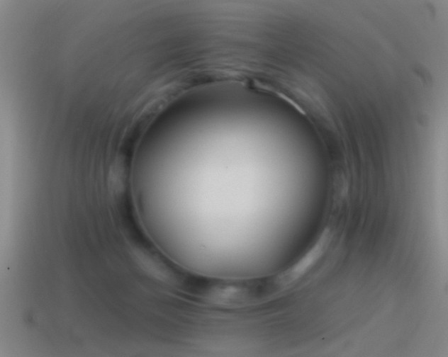 X0000114390174200910161301