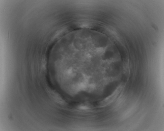 X0000114390175200910161301
