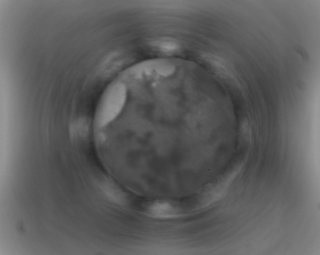 X0000114390177200910161302