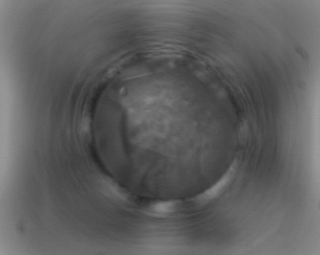 X0000114390178200910161302