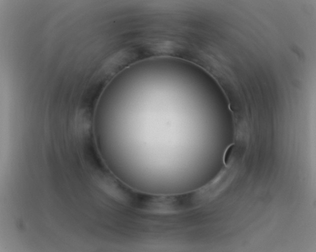 X0000114390179200910161302