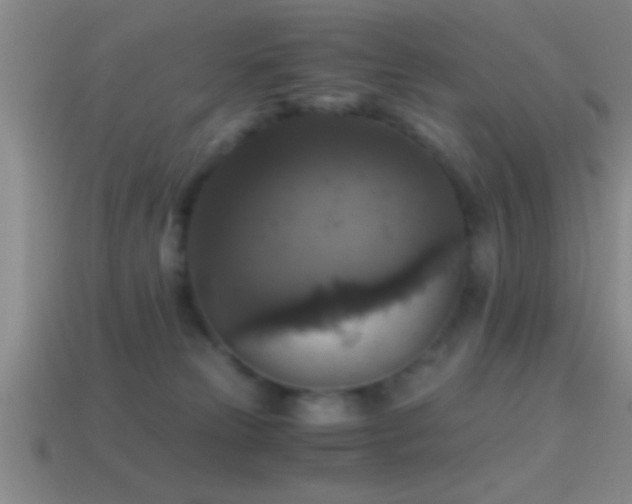 X0000114390181200910161302