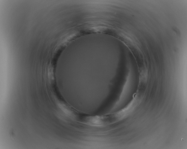 X0000114390182200910161302