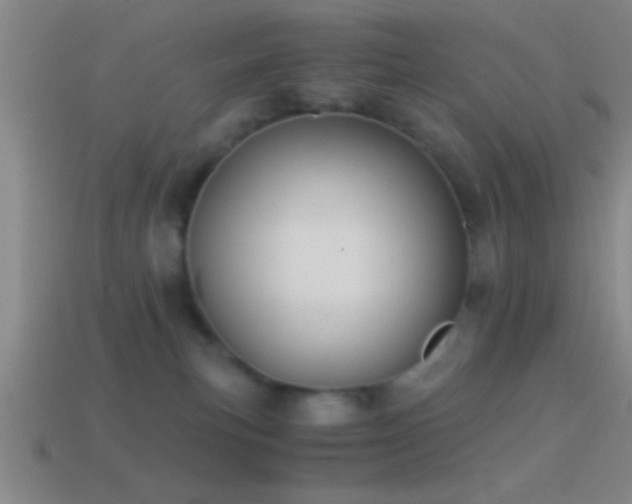 X0000114390183200910161302