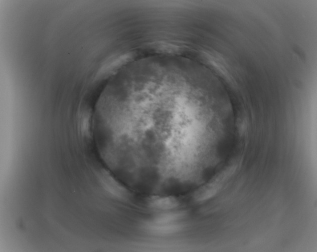 X0000114390185200910161302