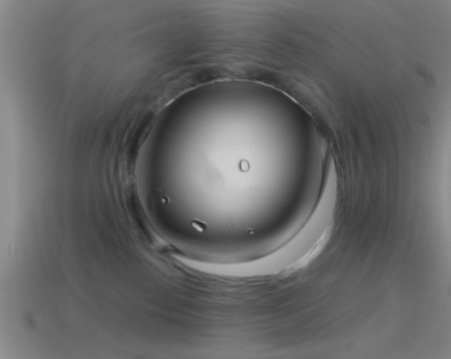 X0000114390186200910161302