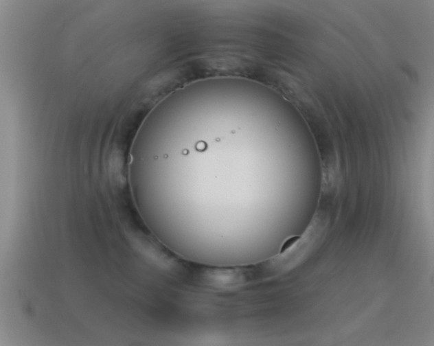 X0000114390187200910161302