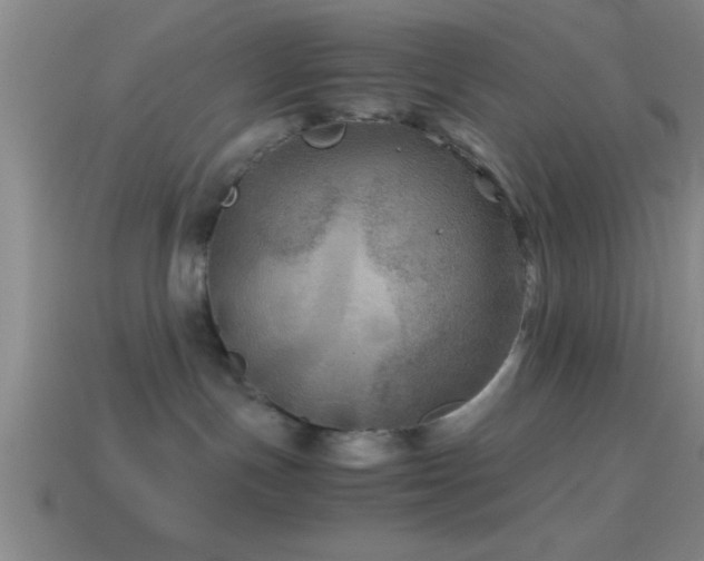 X0000114390191200910161302