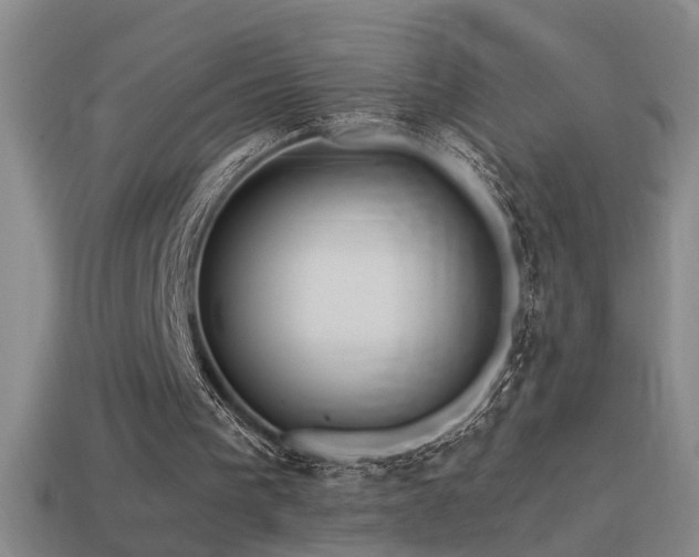 X0000114390193200910161301