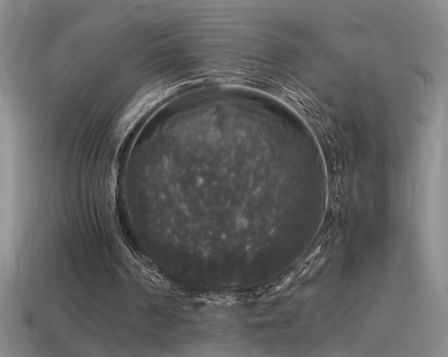 X0000114390194200910161301