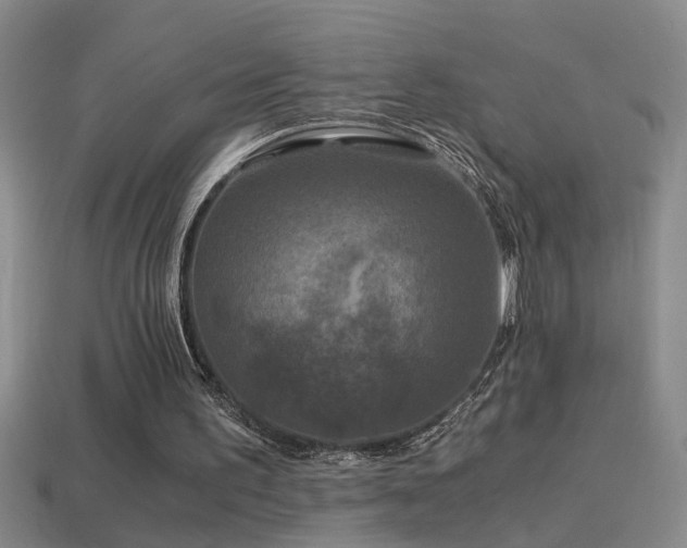 X0000114390195200910161301