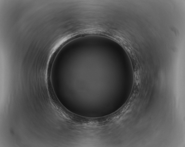 X0000114390196200910161301