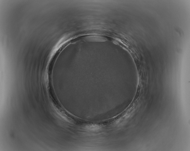 X0000114390198200910161301