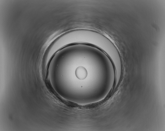 X0000114390199200910161301