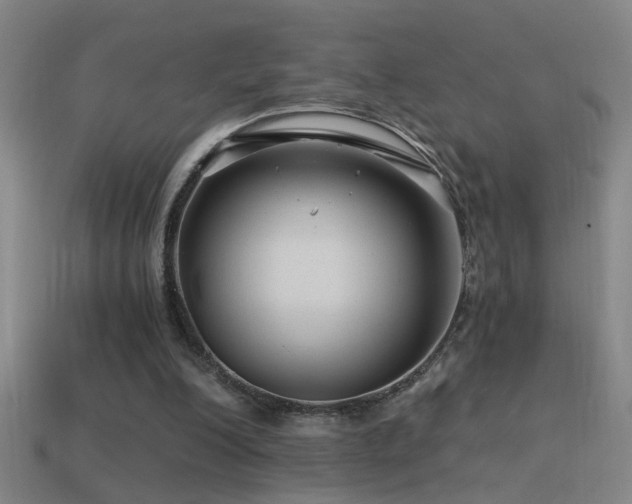 X0000114390200200910161301